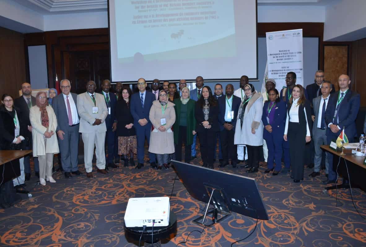 workshop on Developing digital trade in Africa for the benefit of African OIC member countries